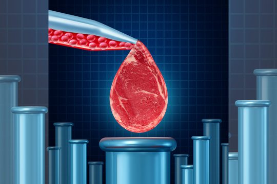 synthetic food
